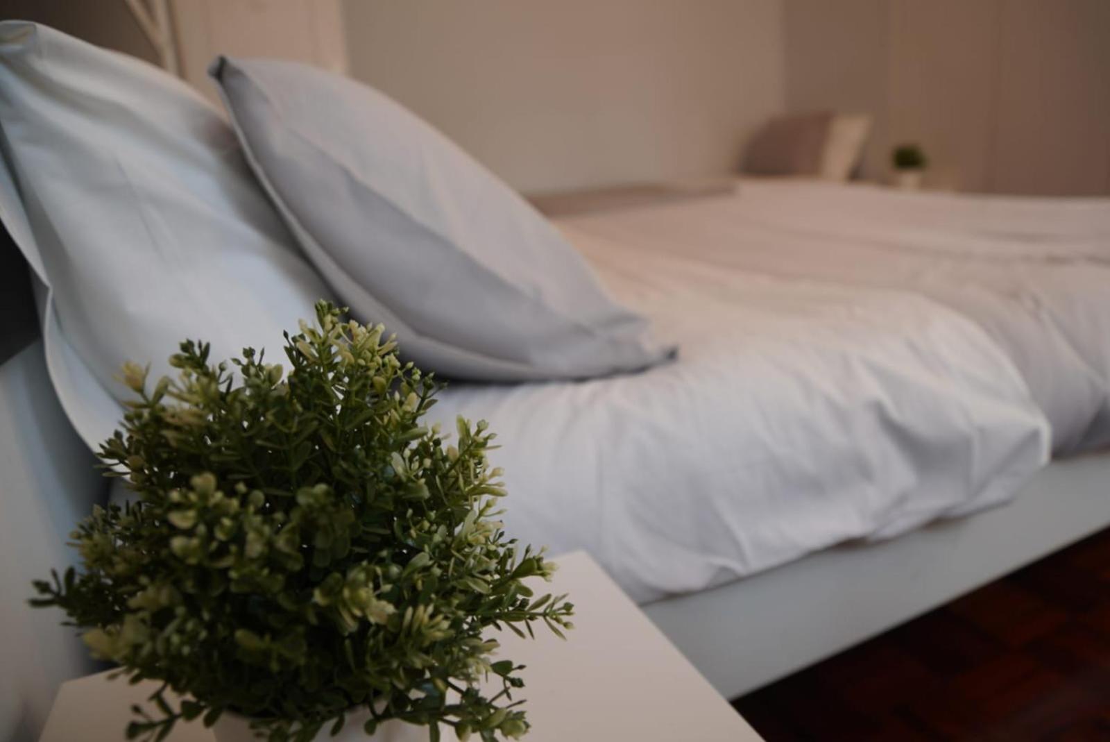 Bisengototo Homestay Lisboa Eksteriør bilde